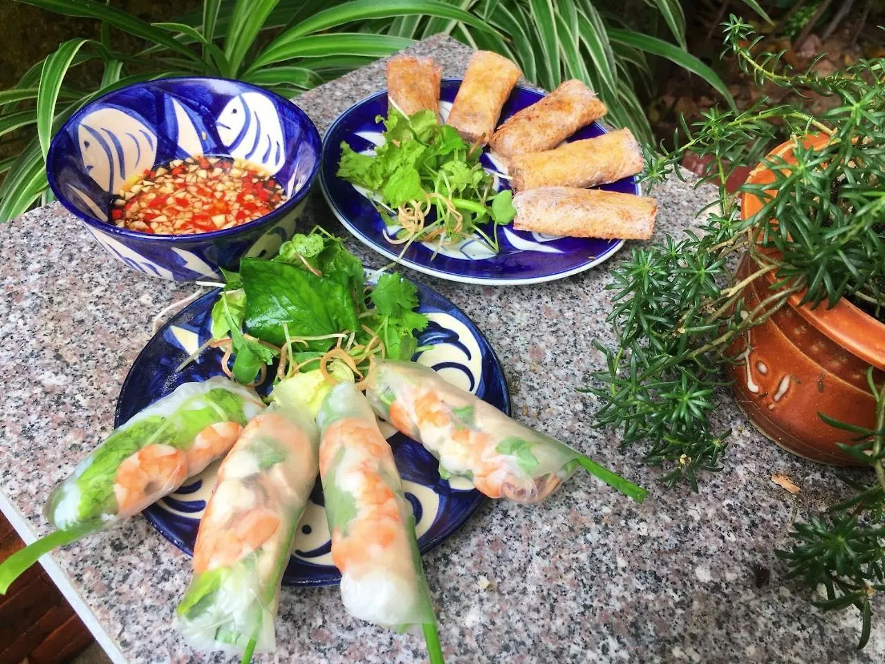 Sunshine Homestay Hoi An Vietnam